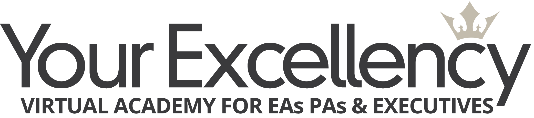 YOURExcellencyLogo